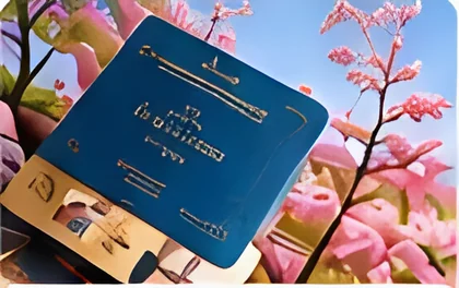 Vé & Trải nghiệm địa phương